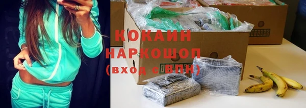 метадон Елизово