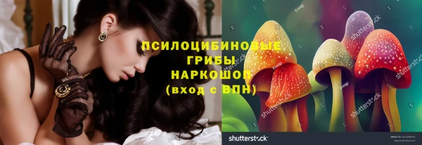 индика Дмитров