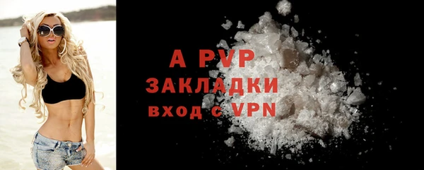 spice Ельня