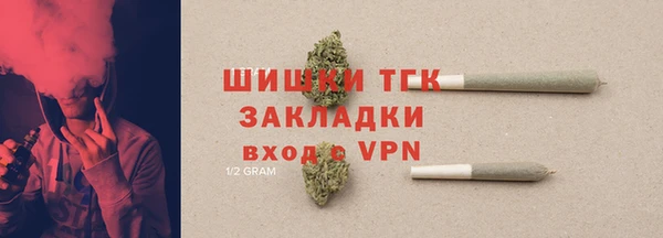 индика Дмитров