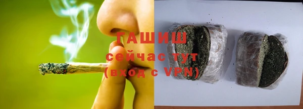 spice Ельня