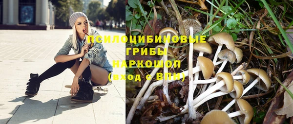spice Ельня