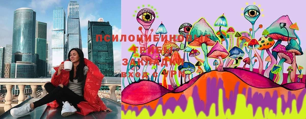 спайс Елабуга