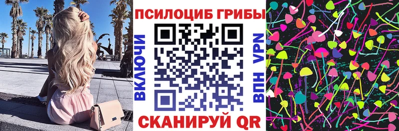 Псилоцибиновые грибы Magic Shrooms  Купить  Курганинск 